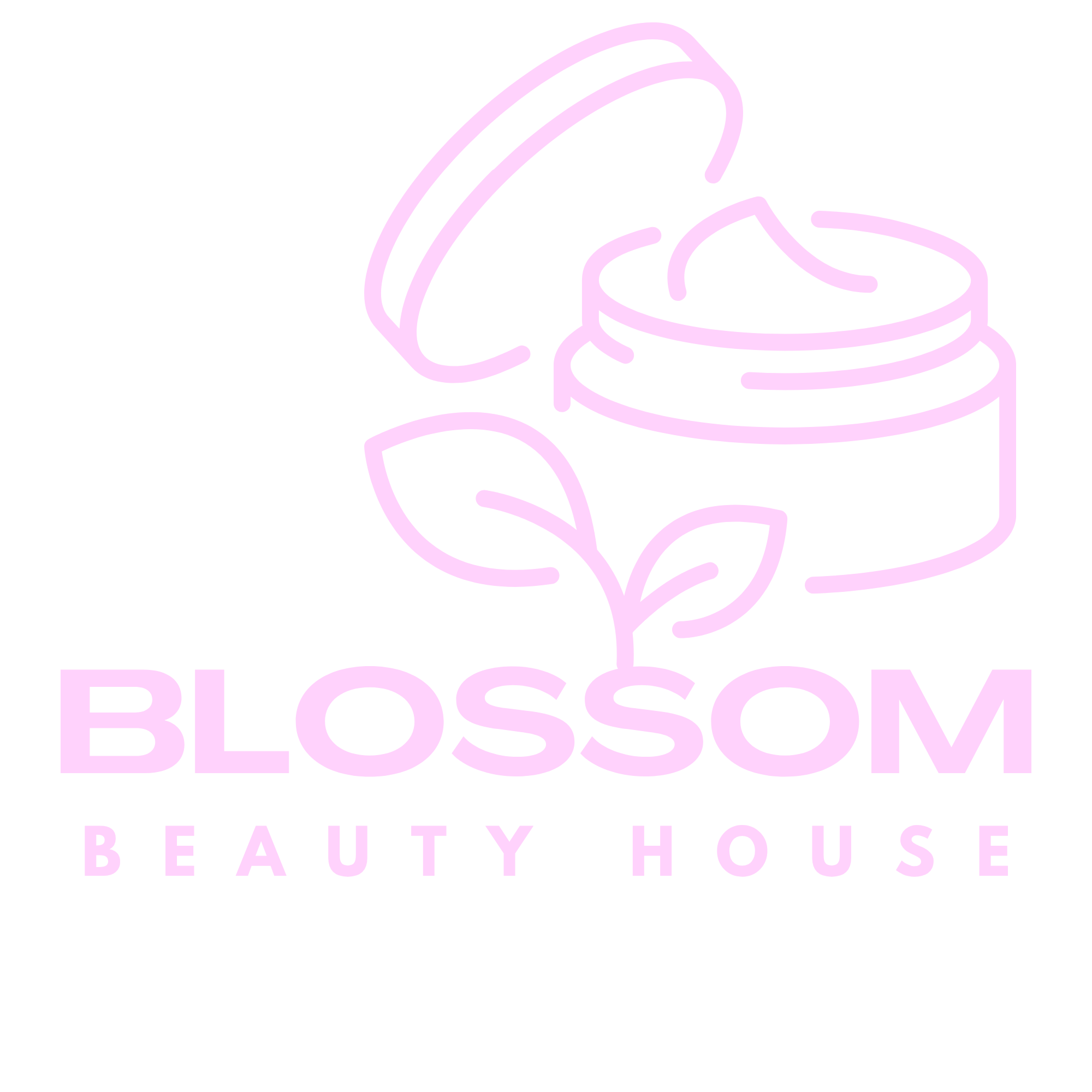  BlossomBeautyHouse