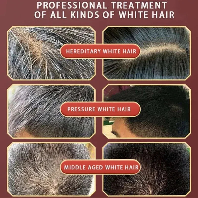 Natural Herbal Hair Dye Shampoo | Gray Coverage Treatment